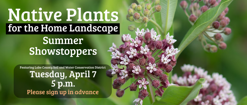 0407 NativePlants thin