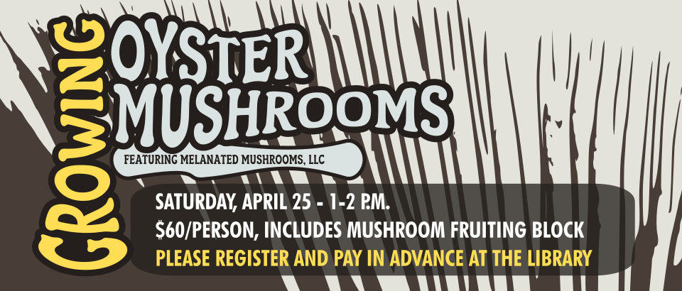 0425 GrowingOysterMushrooms thin